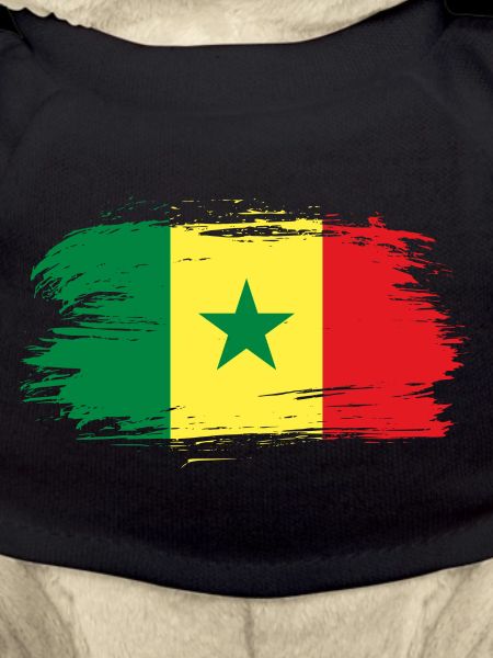Senegal flag flag