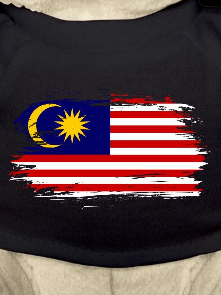 Drapeau drapeau malaisie