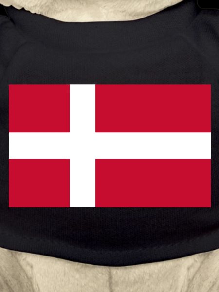 Danemark Drapeau