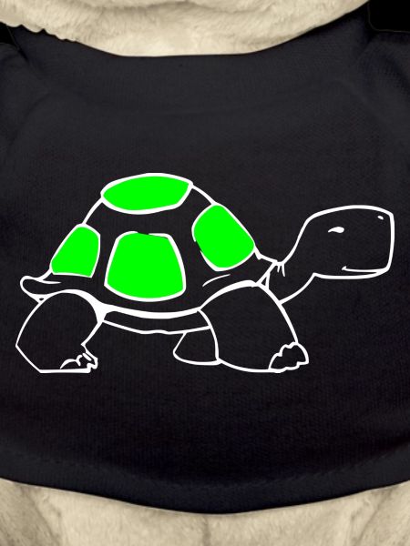 Schildkröte