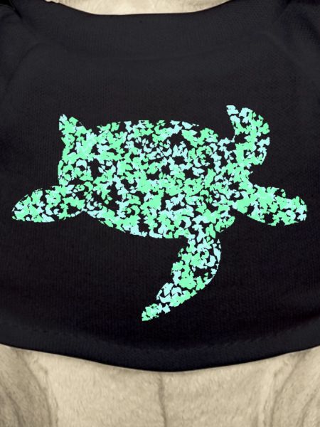 turquoise turtle