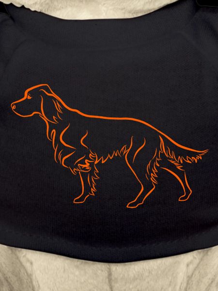 Setter above in orange