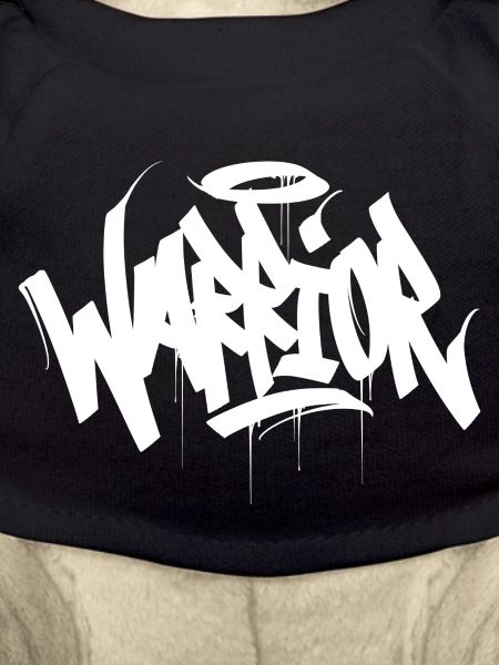 warrior