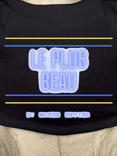 Le plus beau