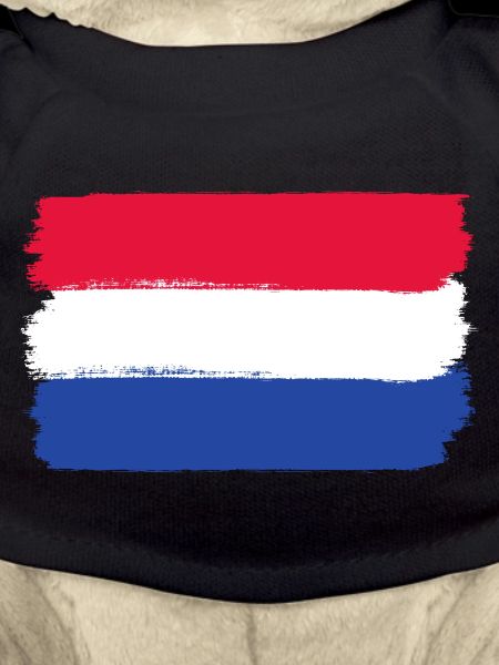 Drapeau hollandais utilisé look