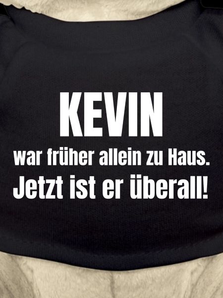Kevin alone at home