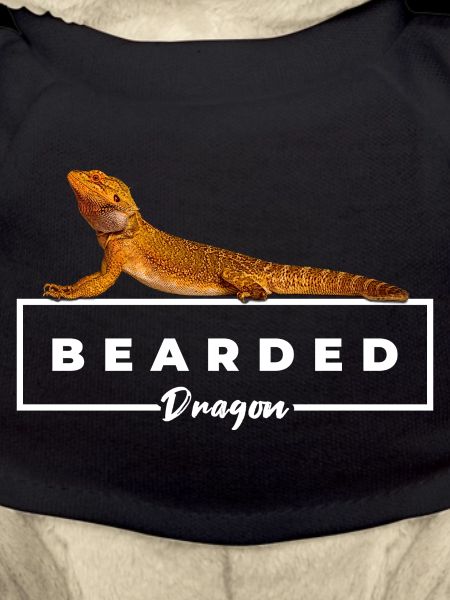Bearded Dragon Reptile Owner