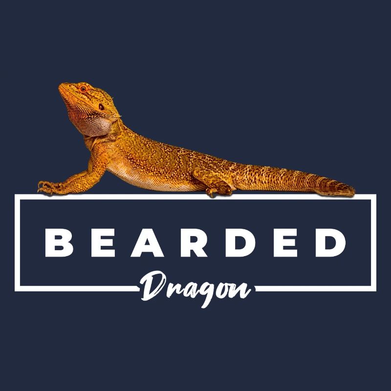 Bearded Dragon Reptile Owner