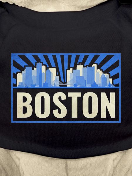 Boston USA
