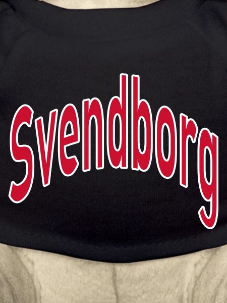 Canton de Svendborg
