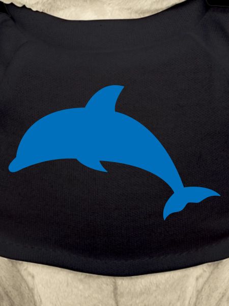 Dolphin