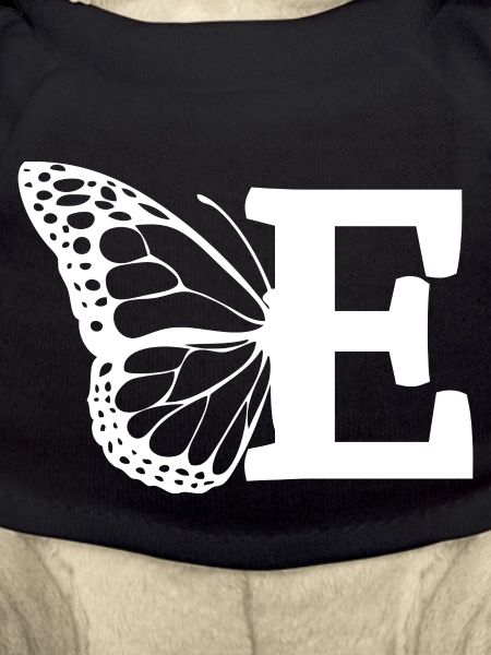 Buchstabe E Schmetterling