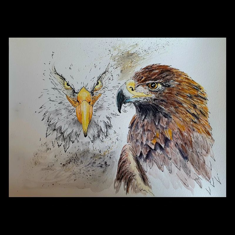Adler