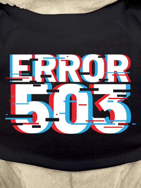 Error 503 Glitch