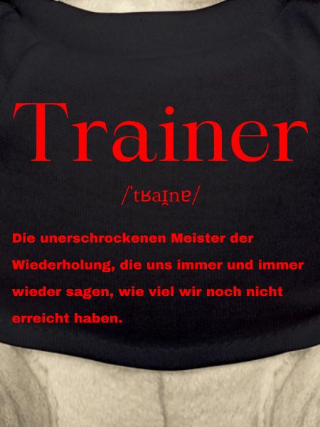 Trainer Definition