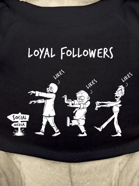 Loyal Followers
