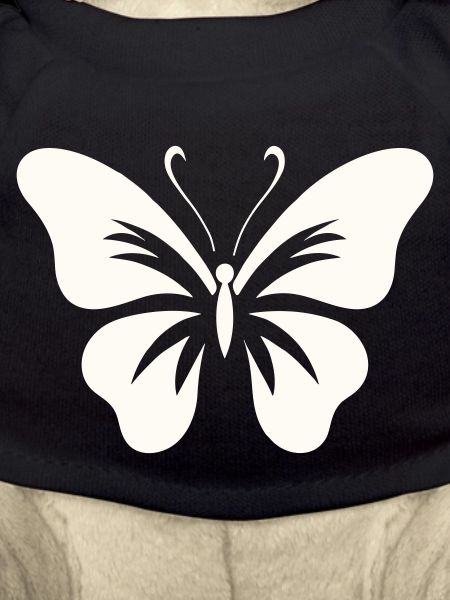 Bold Butterfly
