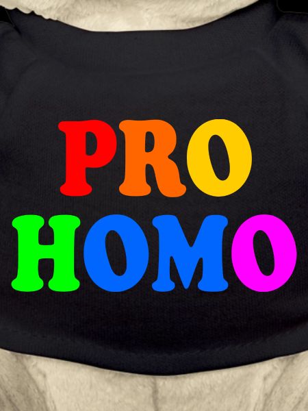 Pro homo