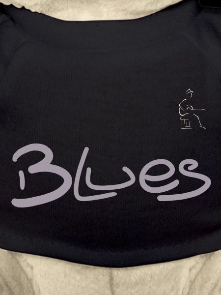 Blues guitarist