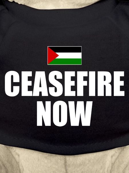 ceasefire now