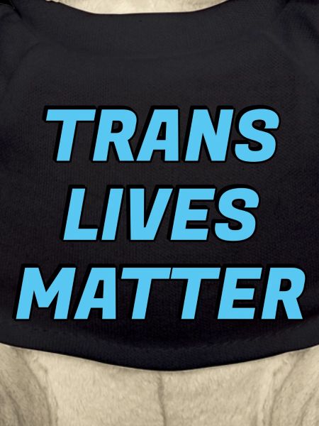 Trans-Leben zählen