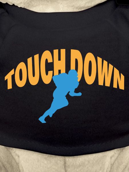 TOUCH DOWN