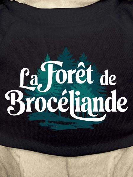 La Forêt de Brocéliande