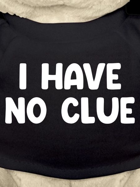 I Have No Clue