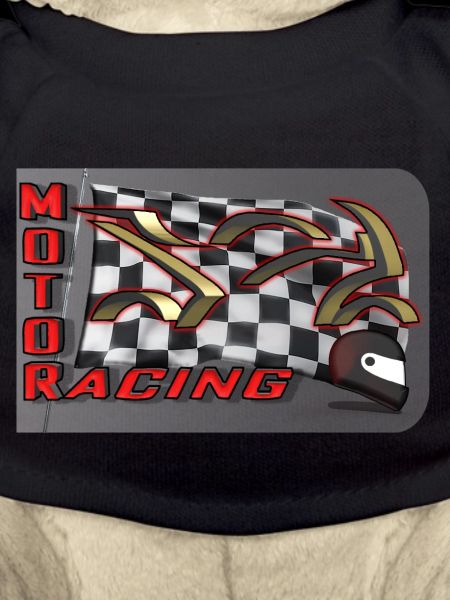 MOTOR RACING