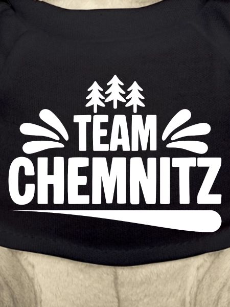 Team Chemnitz