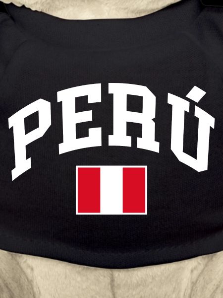 Peru Flag