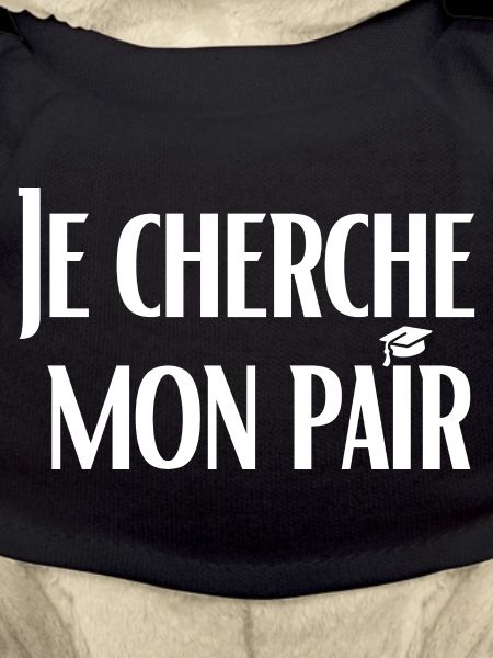 Je cherche mon pair