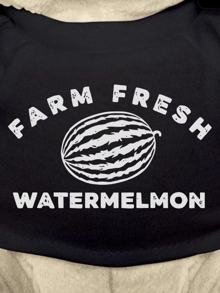 Pastèque fraîche de la ferme