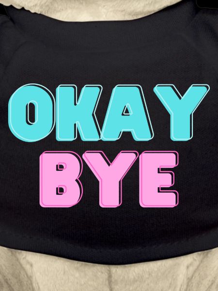 OKAY BYE