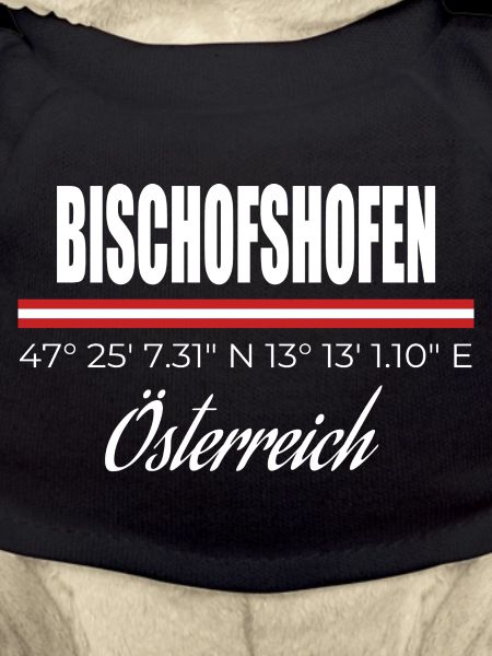 Bischofshofen