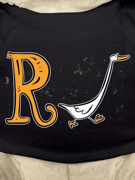 Pension Duck - Retirement - Pension