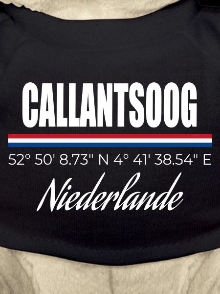 Callantsoog