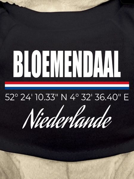 Bloemendaal
