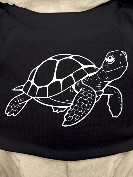 Schildkröten Schildkröten
