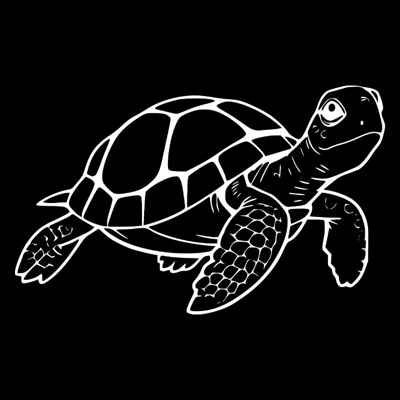 Tortue Tortues