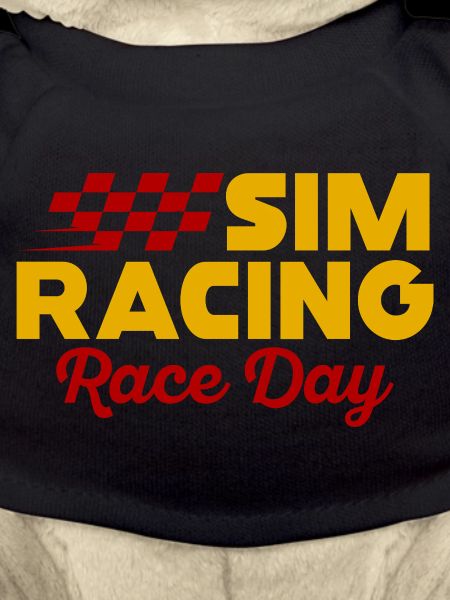 Sim Racing Race Day