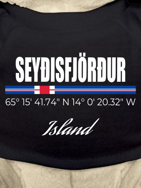 seyðisfjörður