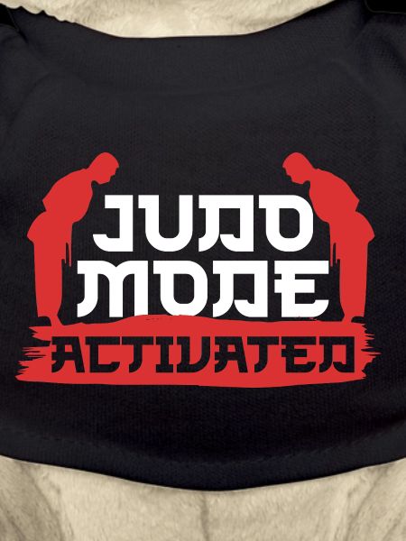 Judo Martial Arts