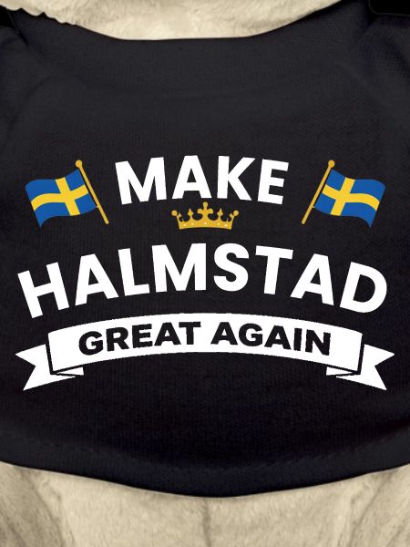 Halmstad City Pride Flags