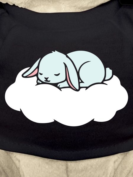 Sleeping Rabbit on Cloud Dream