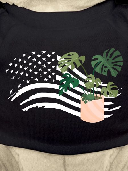 American Flag Plant Lover Plants