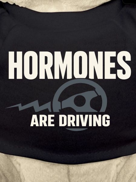 Perimenopause Humor Perimenopause