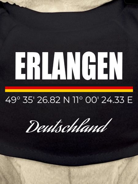 Erlangen