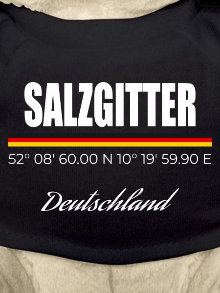 Salzgitter