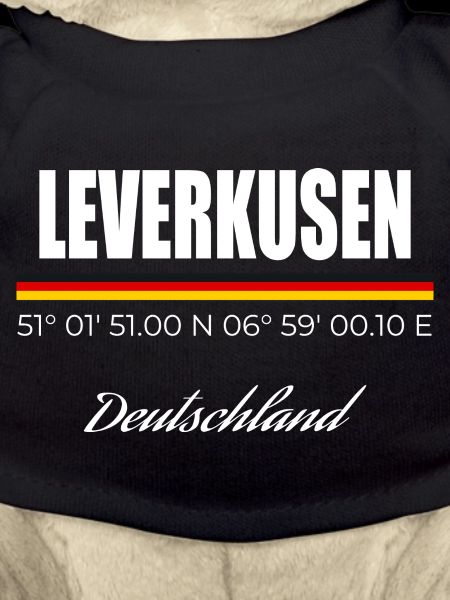 Leverkusen